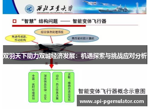 双羽天下助力双城经济发展:机遇探索与挑战应对分析 双羽天下助力双城经济发展:机遇探索与挑战应对分析