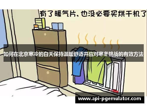 如何在北京寒冷的白天保持温暖舒适并应对寒冬挑战的有效方法