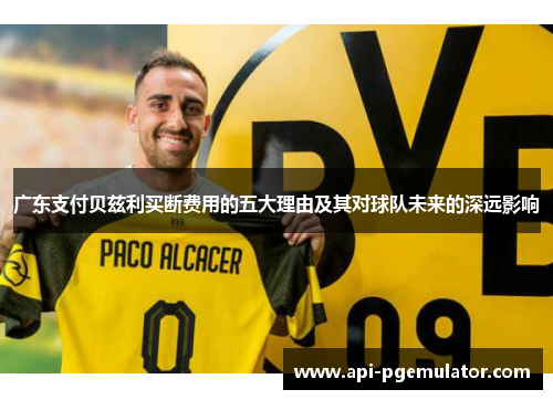 广东支付贝兹利买断费用的五大理由及其对球队未来的深远影响