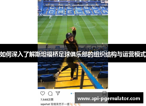 如何深入了解斯坦福桥足球俱乐部的组织结构与运营模式