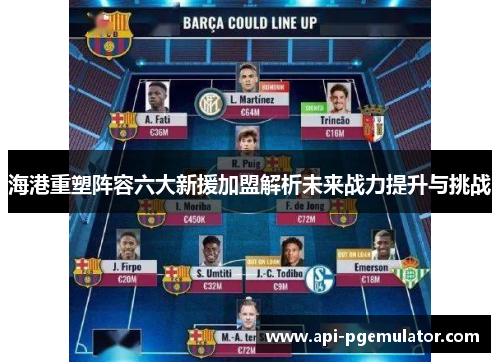 海港重塑阵容六大新援加盟解析未来战力提升与挑战