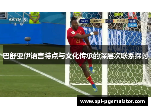 巴舒亚伊语言特点与文化传承的深层次联系探讨
