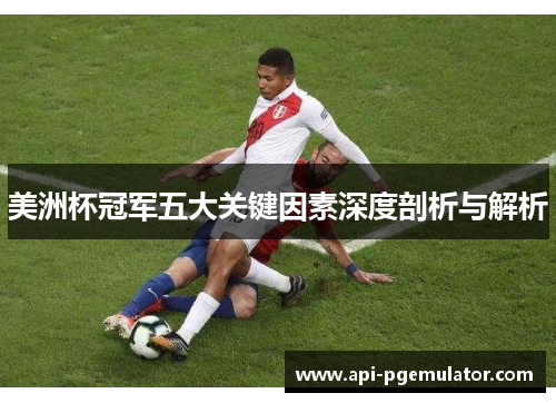 美洲杯冠军五大关键因素深度剖析与解析
