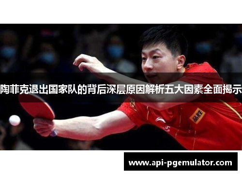 陶菲克退出国家队的背后深层原因解析五大因素全面揭示 陶菲克退出国家队的背后深层原因解析五大因素全面揭示