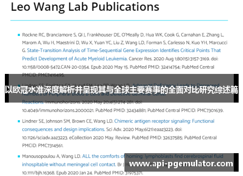 以欧冠水准深度解析并呈现其与全球主要赛事的全面对比研究综述篇