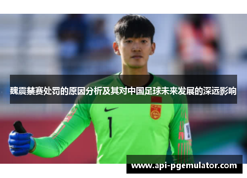 魏震禁赛处罚的原因分析及其对中国足球未来发展的深远影响 魏震禁赛处罚的原因分析及其对中国足球未来发展的深远影响