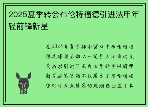 2025夏季转会布伦特福德引进法甲年轻前锋新星 2025夏季转会布伦特福德引进法甲年轻前锋新星